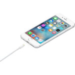 Оригинален Apple Lightning кабел 0.5 m - Image 2