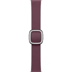 Каишка за Аpple Watch 38/40/41mm, Modern Buckle